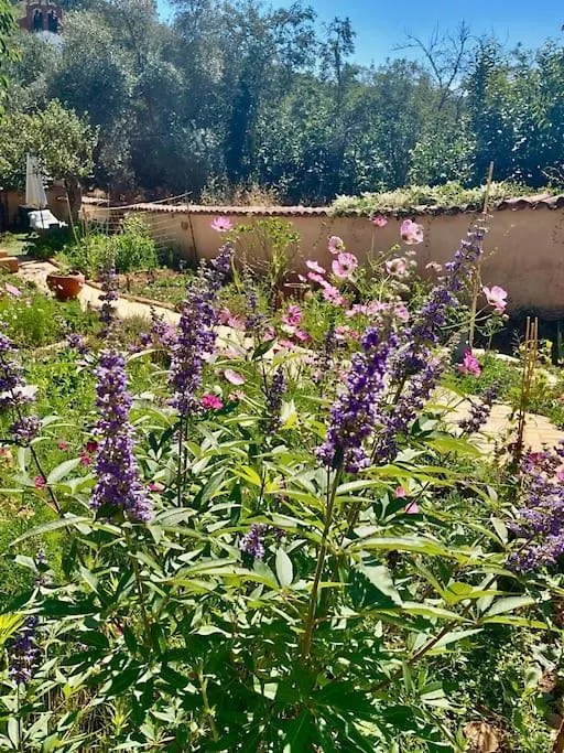 Holiday home Casa Flor De Sol - Natural Park Aracena Navahermosa  Spain