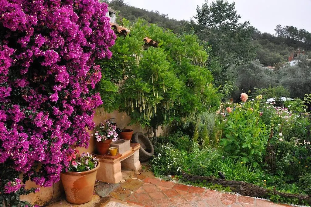 Casa Flor De Sol - Natural Park Aracena Navahermosa  Spain